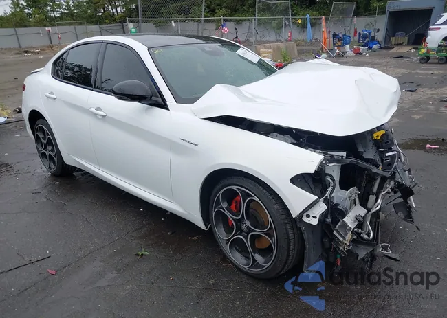 ZARFANBN1N7654460: 43162442