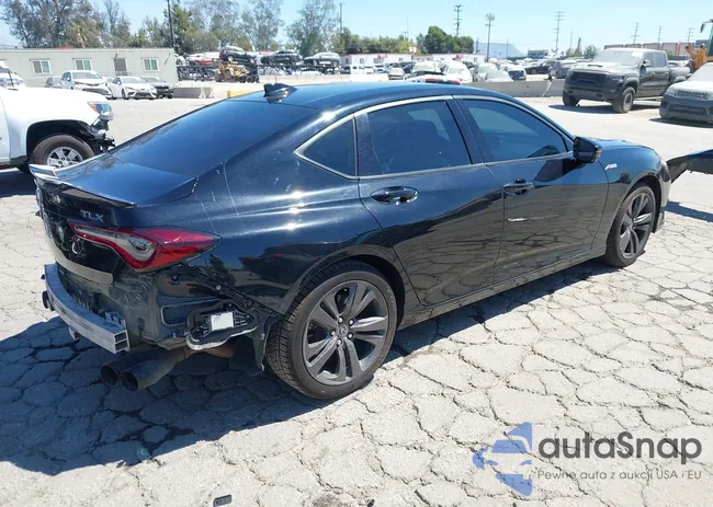 19UUB5F56MA004244: 43162552