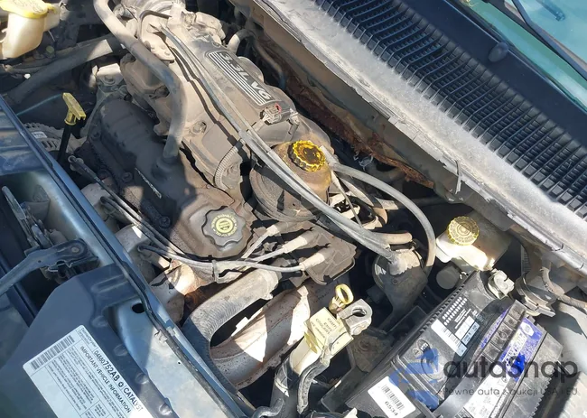 2D4GP44323R244185: 43161892