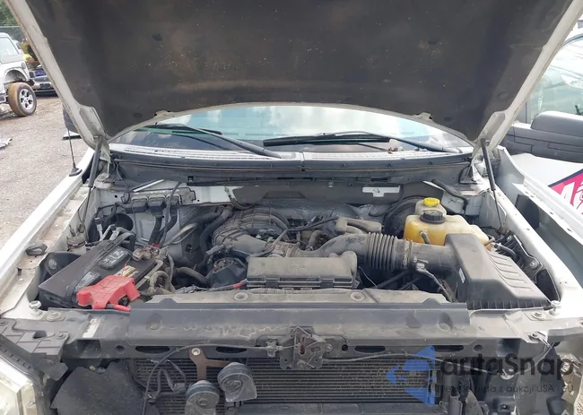 1FTMF1CM0EKF50816: 43161931