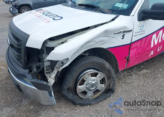 1FTMF1CM0EKF50816: 43161931