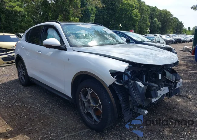 ZASPAKBN0N7D43347: 43161999