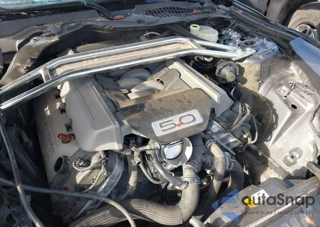 1FA6P8CFXH5342452: 43163174