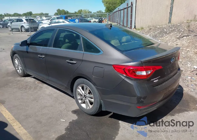 5NPE24AF7HH456716: 43163538