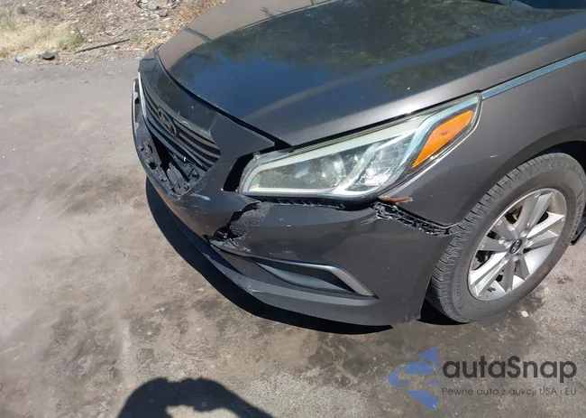 5NPE24AF7HH456716: 43163538