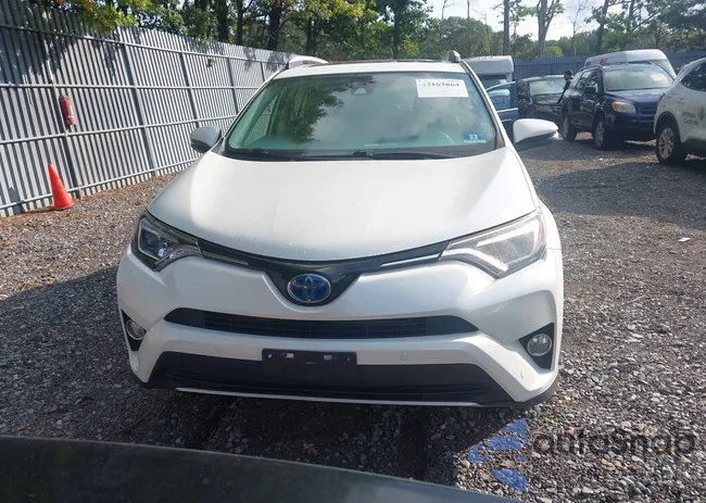 JTMDJREV3GD053897: 43163864