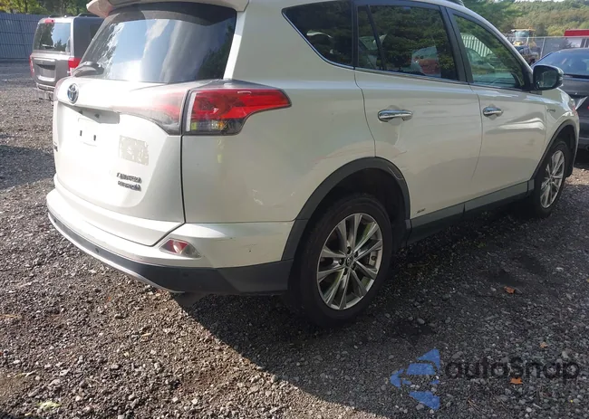 JTMDJREV3GD053897: 43163864