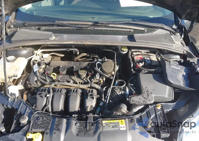 1FADP3K22DL180024: 43163896