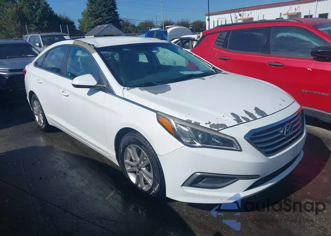 5NPE24AF2GH405638: 43165135