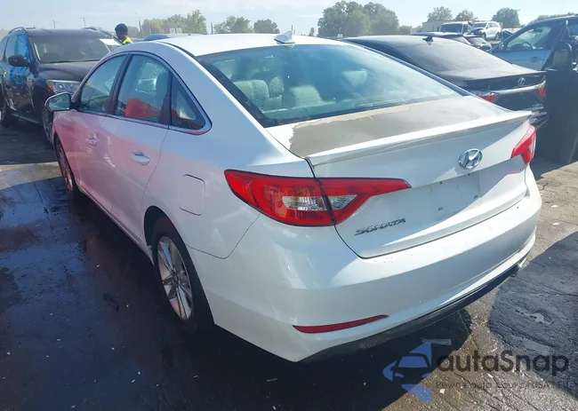 5NPE24AF2GH405638: 43165135