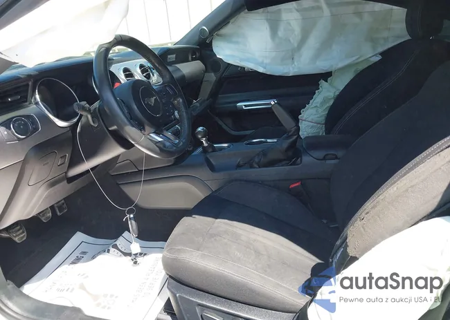 1FA6P8CF6M5156594: 43165254