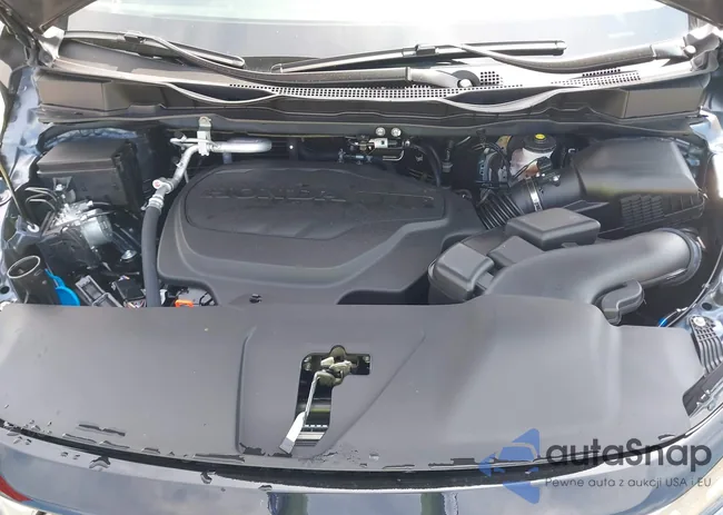 5FNRL6H62SB088905: 43164713