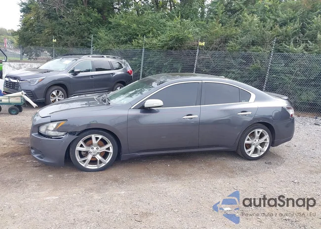 1N4AA5AP0CC856417: 43166389