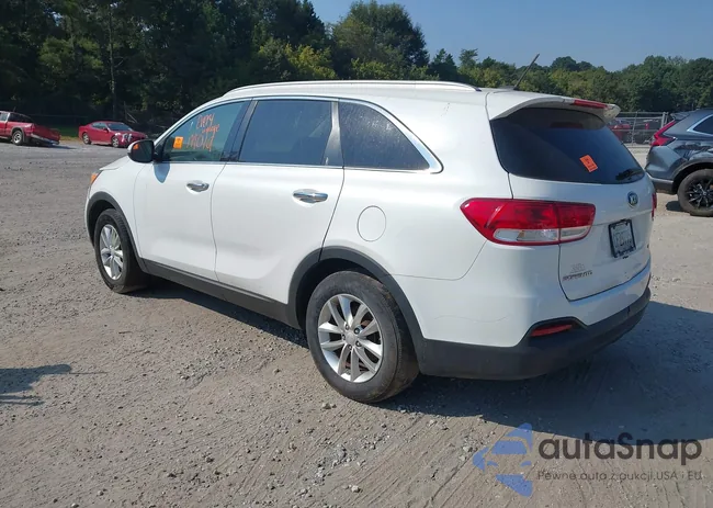 5XYPG4A52GG135996: 43165751