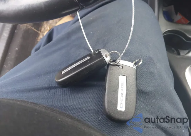 3C4PDDBG5KT835683: 43167233