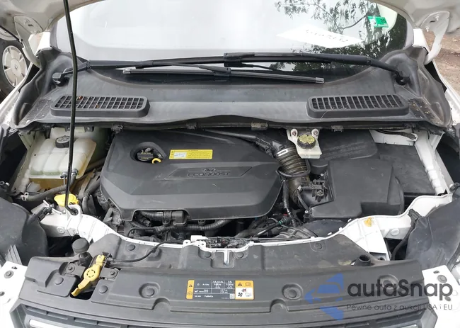 1FMCU0GX2DUD47179: 43167332