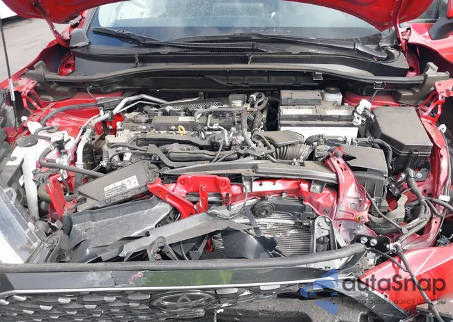 7MUDAAAG8RV104266: 43166646