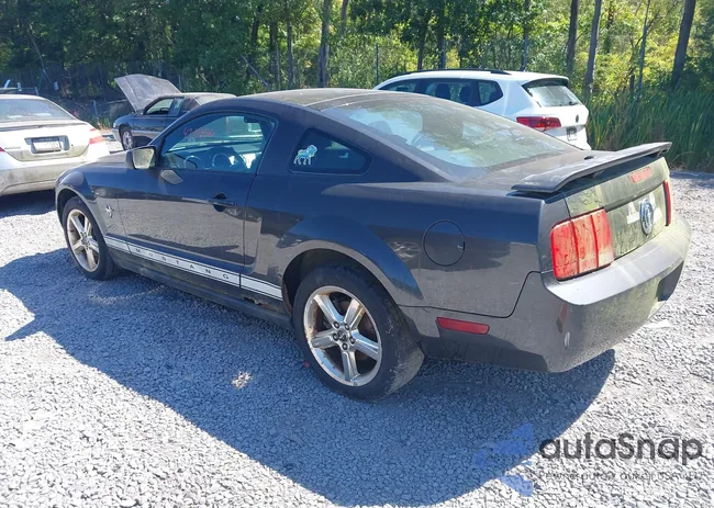 1ZVHT80N195135358: 43168166