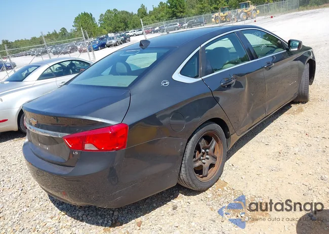 2G11X5SL6E9272871: 43168411