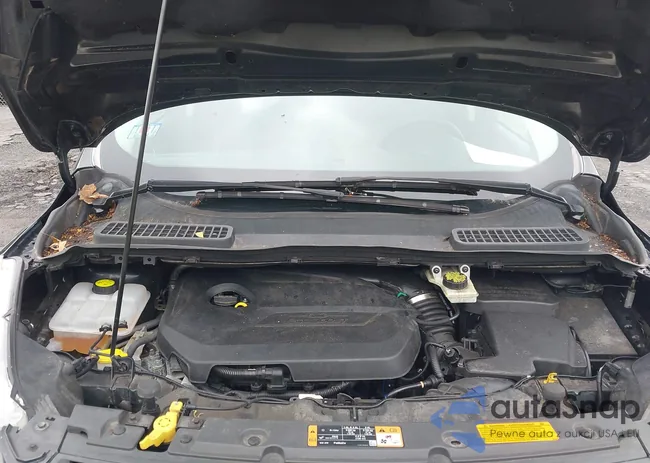 1FMCU9GX9FUA55407: 43168502