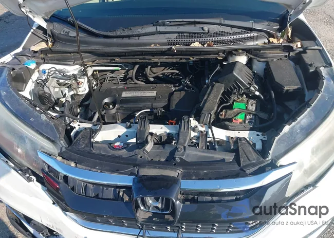 5J6RM4H75FL028852: 43168517