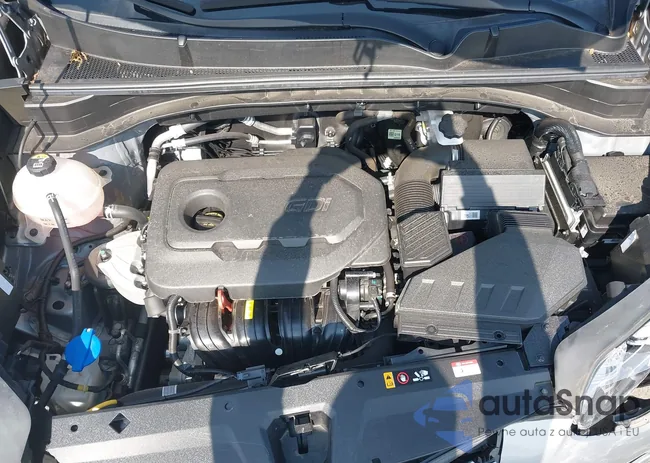 KNDPNCAC6N7958536: 43169297