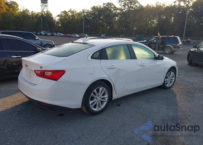 1G1ZJ5SU6HF210220: 43169497