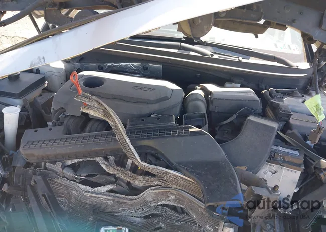 5NPE34AF2FH024044: 43170018