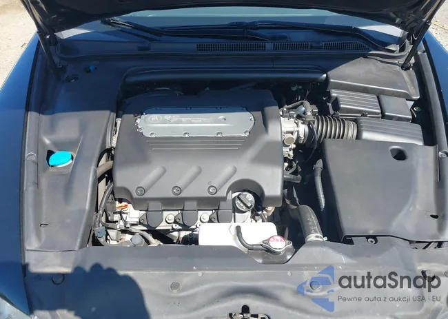 19UUA66286A007311: 43171206