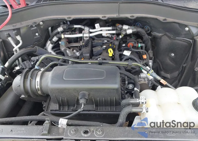 1FMSK8DH2MGC10951: 43170654