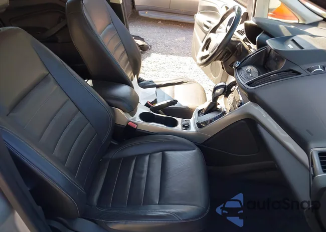 1FADP5CU2DL509915: 43170754