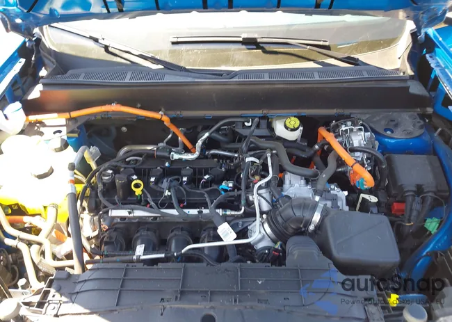 3FTTW8H36SRA42538: 43170831