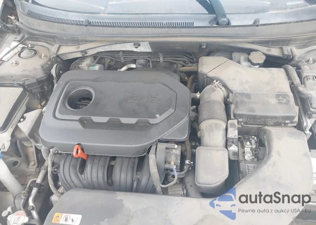 5NPE24AF6HH437638: 43172380