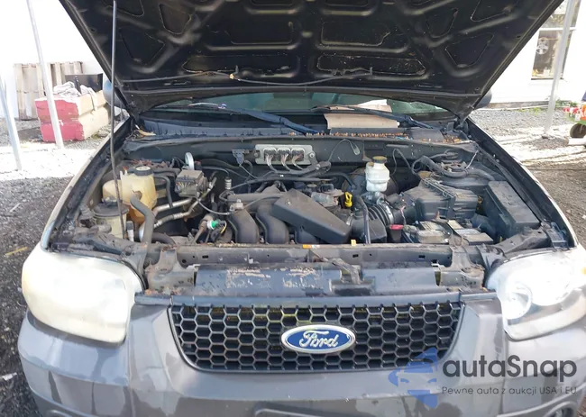 1FMCU93196KC25830: 43172420