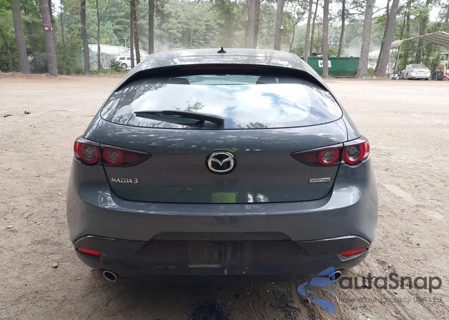 JM1BPAML9M1344053: 43171879