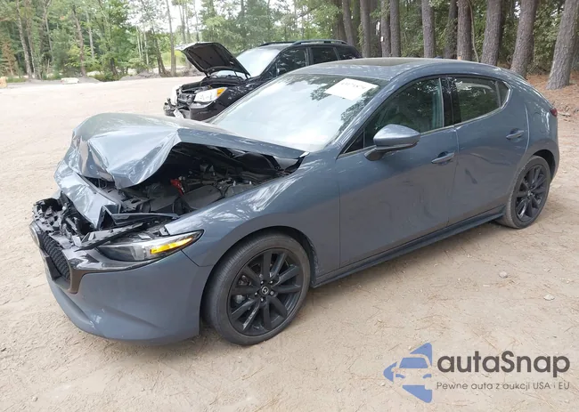 JM1BPAML9M1344053: 43171879