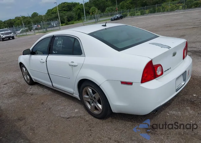 1G1ZC5EBXAF309469: 43171968