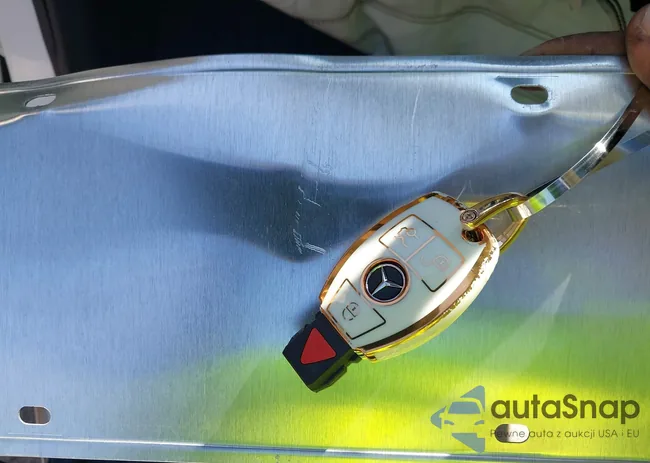 WDDWF4KB4JR316387: 43172631