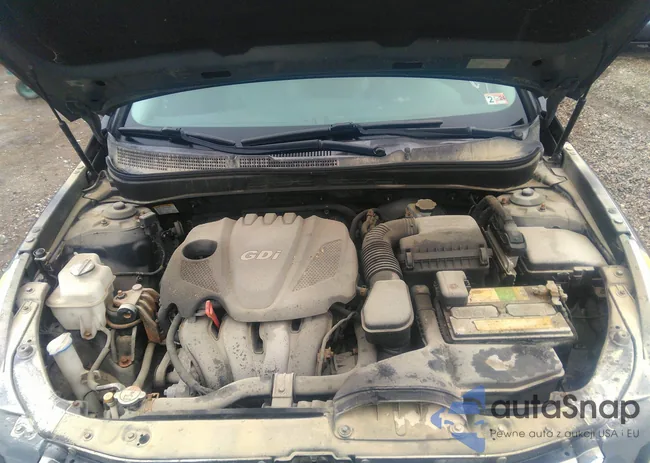 5NPEC4AC2DH566358: 43172681