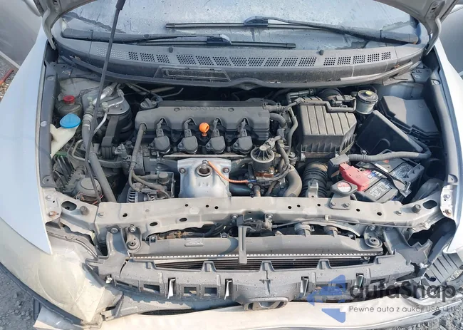 2HGFA16509H309901: 43172719