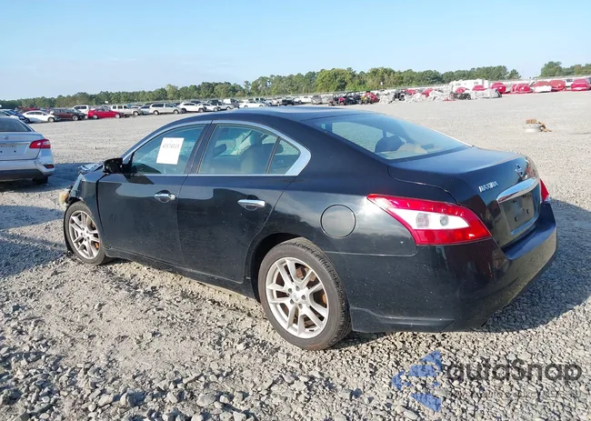 1N4AA5AP9BC856026: 43174113