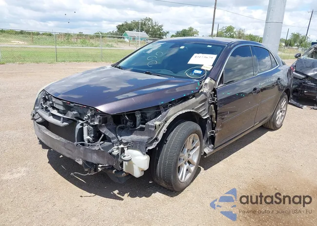 1G11C5SL1FF203669: 43173679