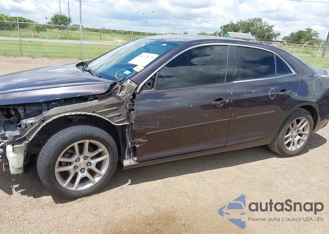 1G11C5SL1FF203669: 43173679