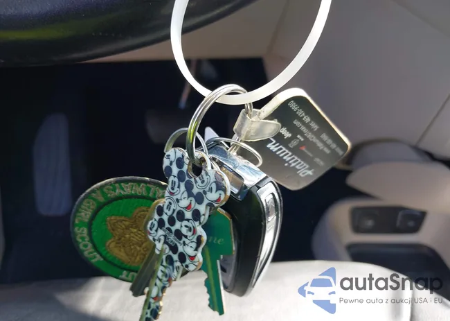 2C4RC1BG5LR247667: 43173783