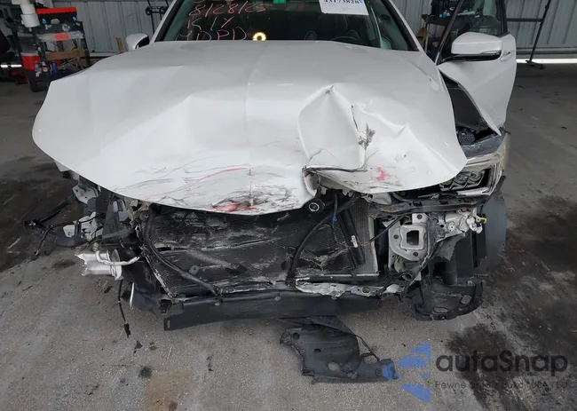 19UUB2F47LA005259: 43173828