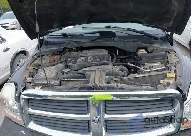 1D4HB48N54F176763: 43175289