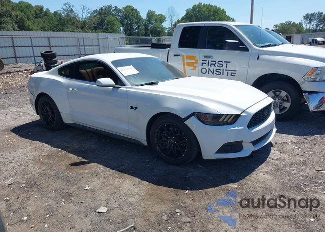 1FA6P8AM7G5293081: 43174706