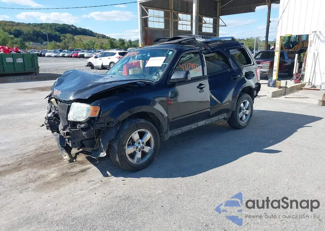 1FMCU9EG3BKB01726: 43174932