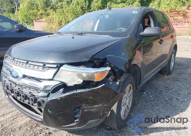 2FMDK3GCXBBA99386: 43174994