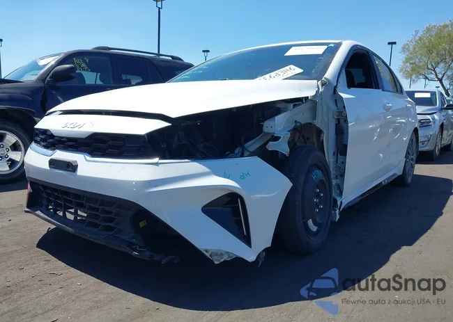 3KPF54AD7PE650367: 43176036